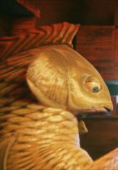 Carp Xmass Carp Xmass