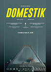 Domestik